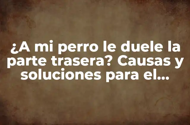 ¿a Mi Perro Le Duele la Parte Trasera? Causas y Soluciones para el Dolor en la Parte Posterior de Tu Mascota