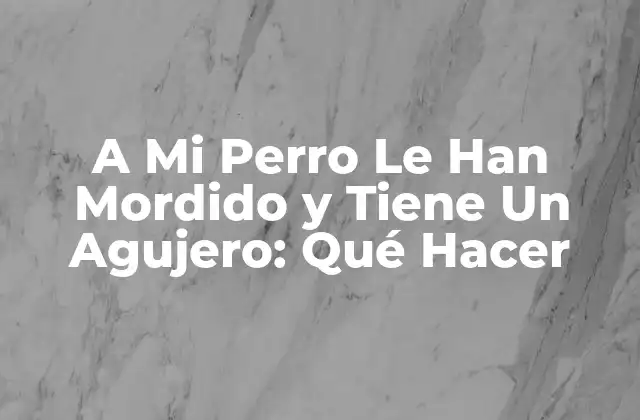 A Mi Perro Le Han Mordido y Tiene un Agujero: Qué Hacer