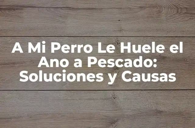 A Mi Perro Le Huele el Ano a Pescado: Soluciones y Causas