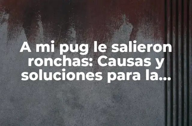 A Mi Pug Le Salieron Ronchas: Causas y Soluciones para la Salud de Tu Mascota