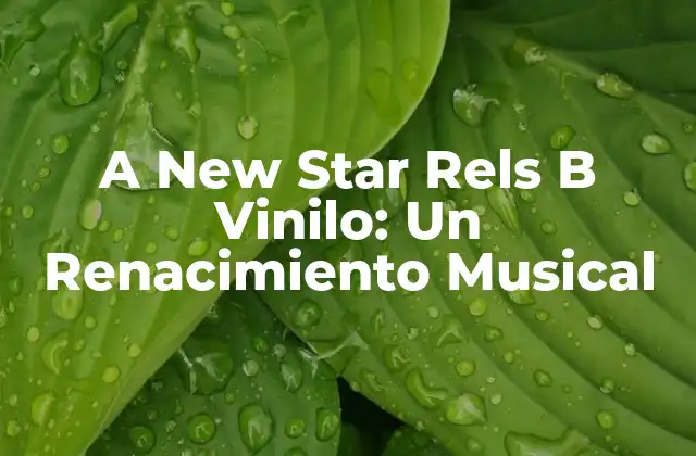 A New Star Rels B Vinilo: un Renacimiento Musical