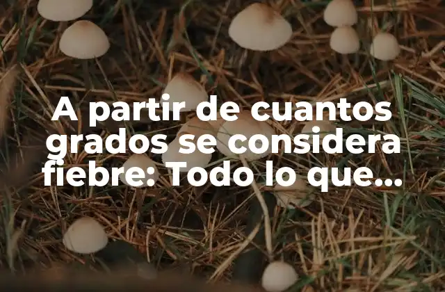 A Partir de Cuantos Grados Se Considera Fiebre: Todo Lo que Debes Saber