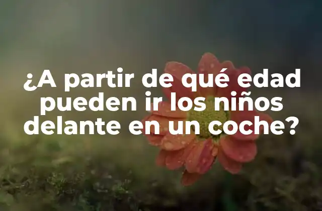 ¿a Partir de Qué Edad Pueden Ir los Niños Delante en un Coche?