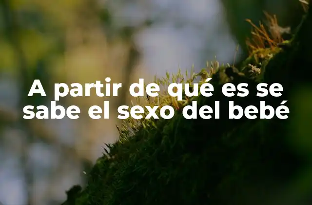 A Partir de Qué es Se Sabe el Sexo Del Bebé
