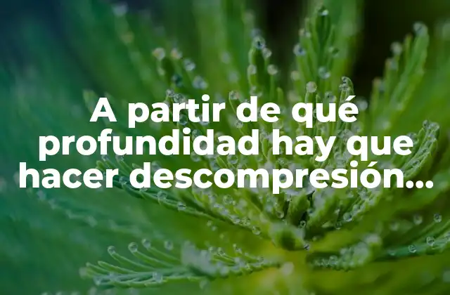 A Partir de Qué Profundidad Hay que Hacer Descompresión en Buceo 2 ¿Por qué es necesario hacer descompresión en buceo?