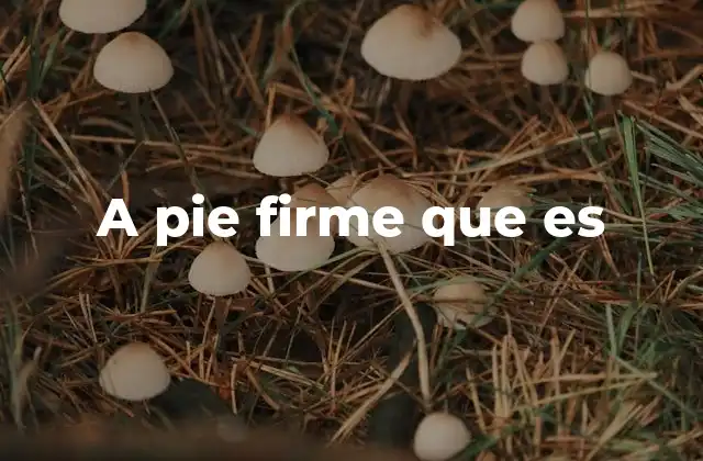 A Pie Firme que es