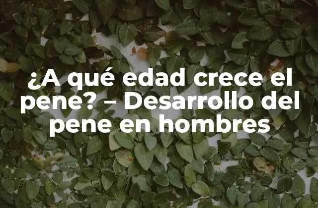 ¿a Qué Edad Crece el Pene? – Desarrollo Del Pene en Hombres