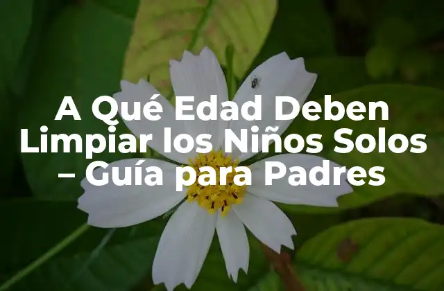 A Qué Edad Deben Limpiar los Niños Solos – Guía para Padres