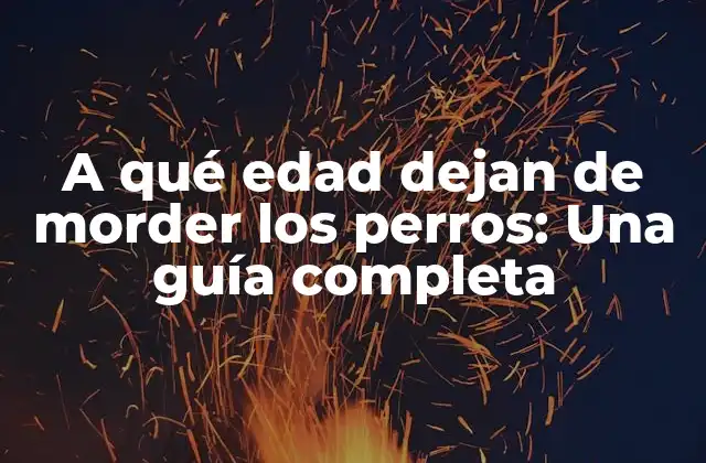 A Qué Edad Dejan de Morder los Perros: una Guía Completa