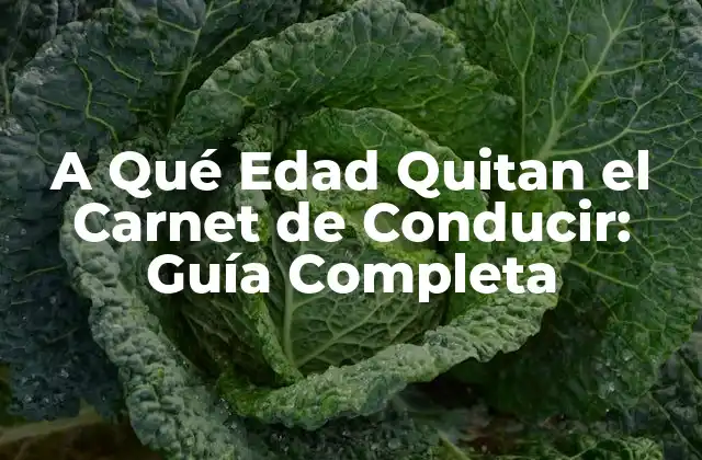 A Qué Edad Quitan el Carnet de Conducir: Guía Completa