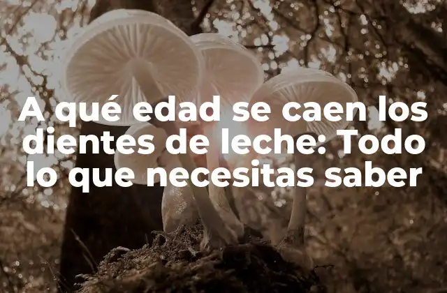 A Qué Edad Se Caen los Dientes de Leche: Todo Lo que Necesitas Saber 2 Desarrollo de los dientes de leche: Cómo y cuándo surgen