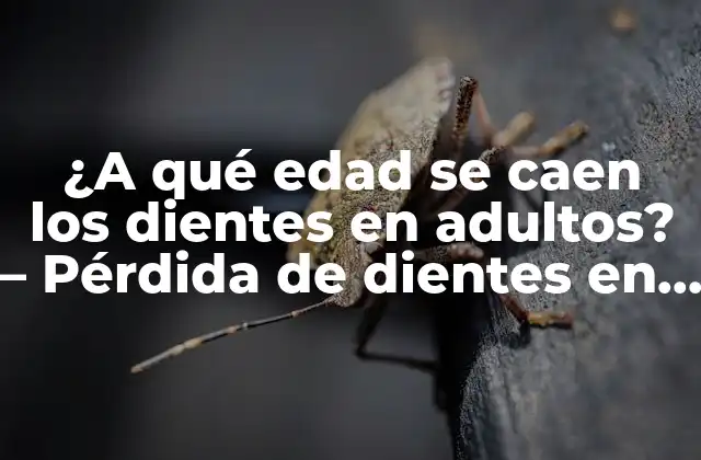 ¿a Qué Edad Se Caen los Dientes en Adultos? – Pérdida de Dientes en la Adultez