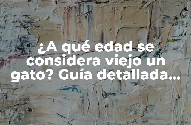 ¿a Qué Edad Se Considera Viejo un Gato? Guía Detallada sobre la Vejez en Gatos