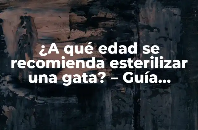 ¿a Qué Edad Se Recomienda Esterilizar una Gata? – Guía Completa para Dueños de Gatos