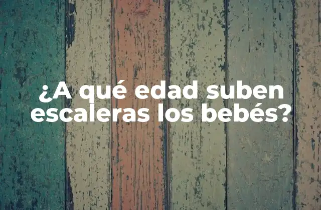 ¿a Qué Edad Suben Escaleras los Bebés?