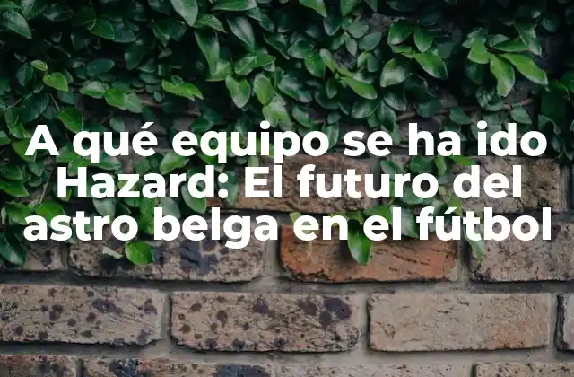 A Qué Equipo Se Ha Ido Hazard: el Futuro Del Astro Belga en el Fútbol