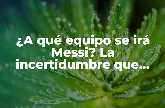 ¿a Qué Equipo Se Irá Messi? la Incertidumbre que Rodea Al Fichaje Del Astro Argentino