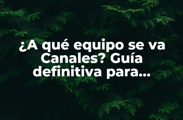 ¿a Qué Equipo Se Va Canales? Guía Definitiva para Entender el Proceso de Migración