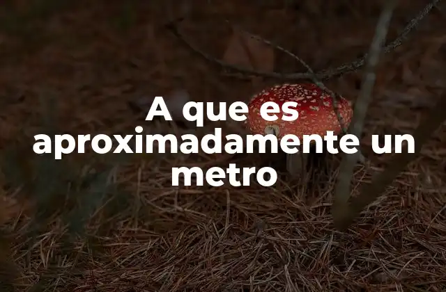 Cómo entender el metro en contextos cotidianos
