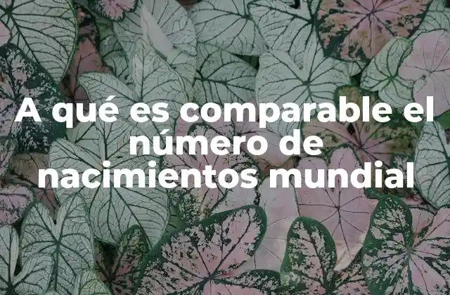 A Qué es Comparable el Número de Nacimientos Mundial