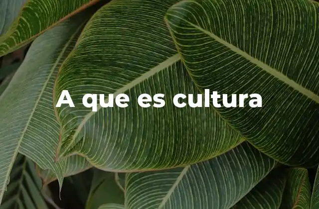 A que es Cultura
