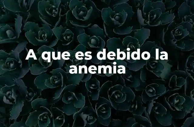 A que es Debido la Anemia
