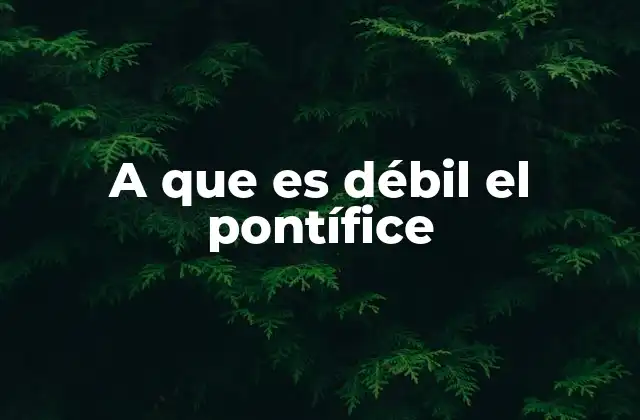 A que es Débil el Pontífice 2 El papel del Papa en un mundo globalizado
