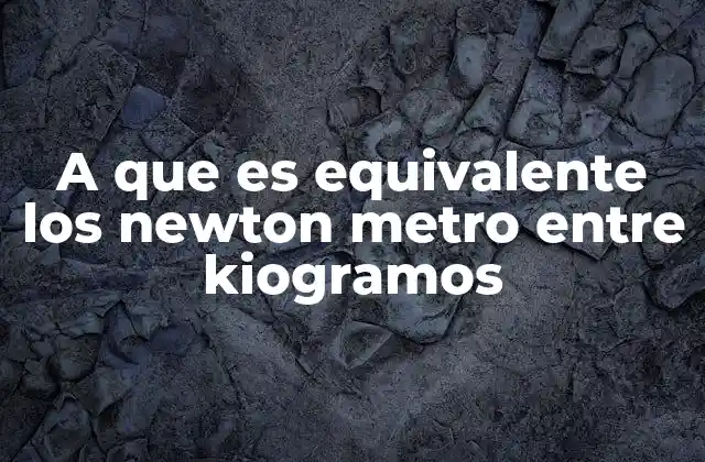 A que es Equivalente los Newton Metro entre Kiogramos