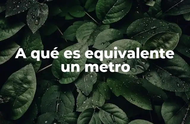 A Qué es Equivalente un Metro 2 Medidas comunes y sus equivalencias