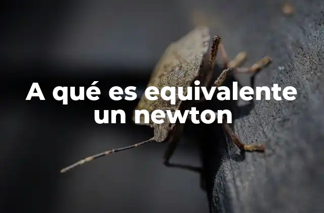A Qué es Equivalente un Newton