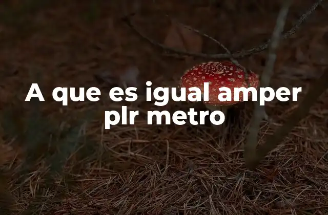 A que es Igual Amper Plr Metro
