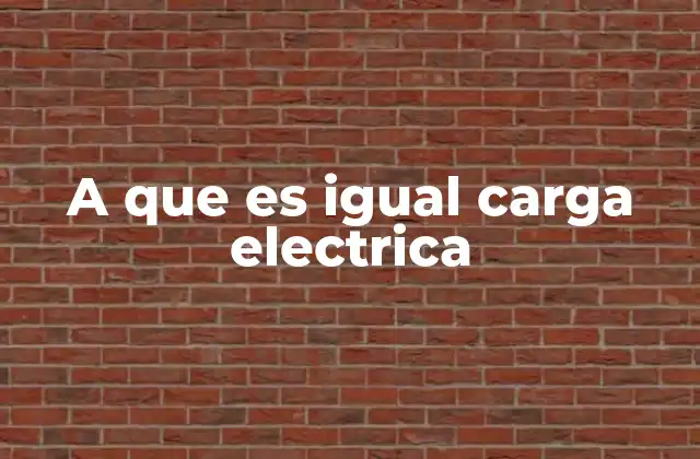 ¿Cómo se relaciona la carga eléctrica con la electricidad?