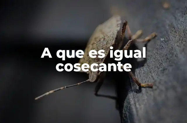 A que es Igual Cosecante