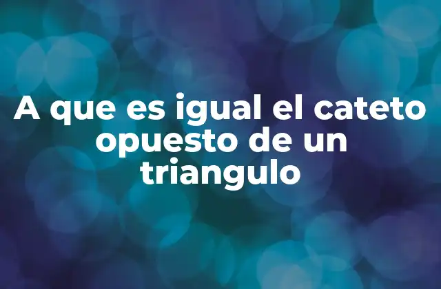 A que es Igual el Cateto Opuesto de un Triangulo