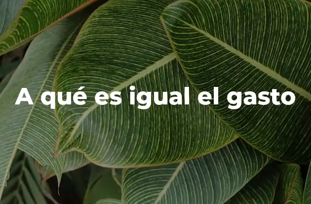A Qué es Igual el Gasto