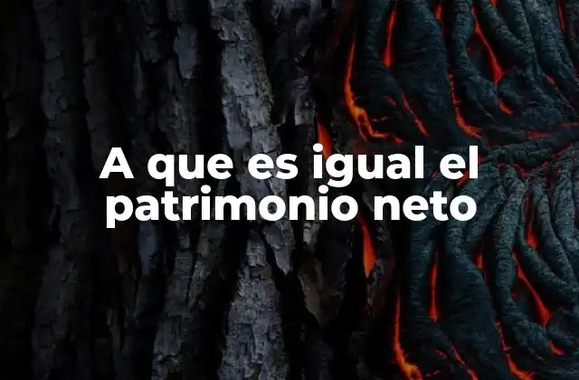 A que es Igual el Patrimonio Neto