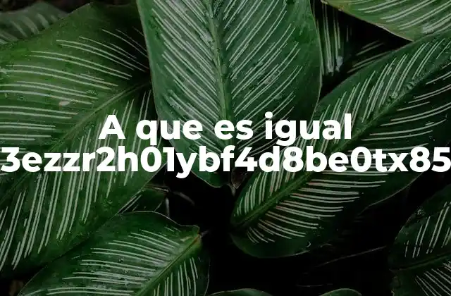 Interpretación de cadenas alfanuméricas como k3ezzr2h01ybf4d8be0tx85b