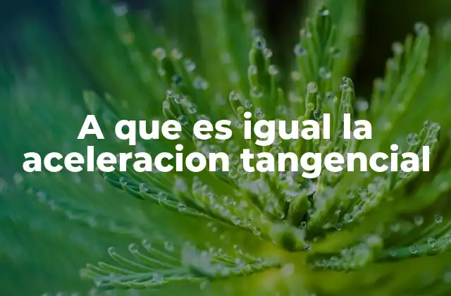 El movimiento curvilíneo y sus componentes de aceleración