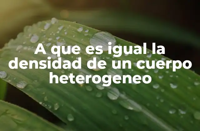 A que es Igual la Densidad de un Cuerpo Heterogeneo