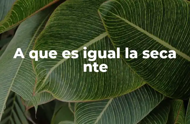 El lenguaje digital y la evolución de frases inusuales