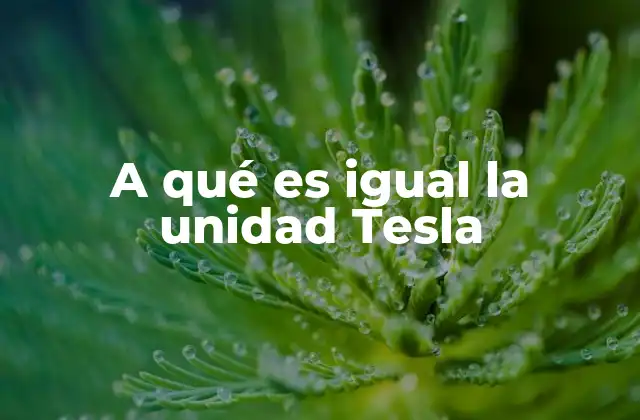 A Qué es Igual la Unidad Tesla
