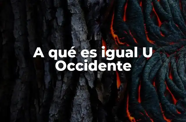 El concepto de Occidente en el discurso contemporáneo
