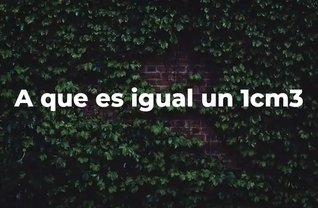 A que es Igual un 1cm3