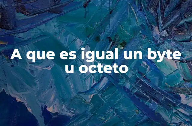 A que es Igual un Byte u Octeto