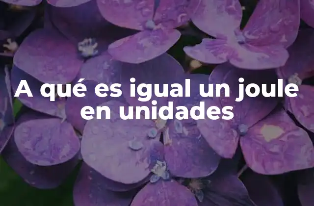 A Qué es Igual un Joule en Unidades