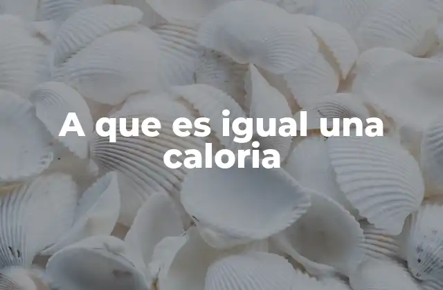 A que es Igual una Caloria 2 La energía que nos da el alimento