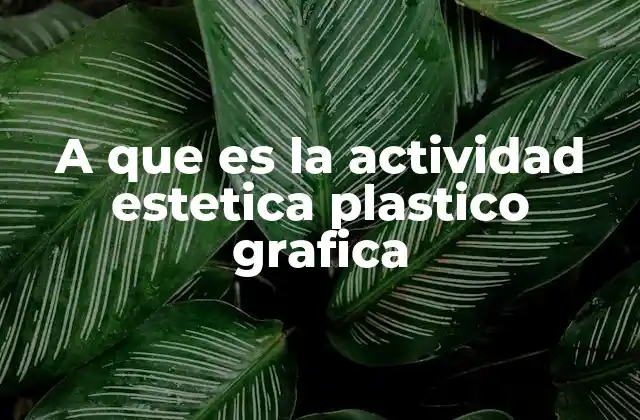 El papel de la actividad plástico gráfica en la formación artística