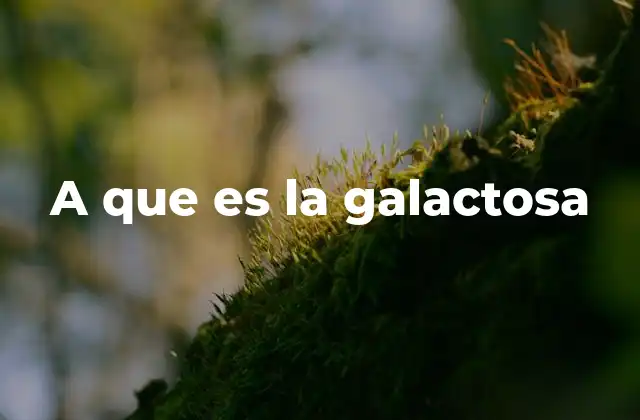 A que es la Galactosa