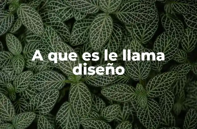 A que es Le Llama Diseño