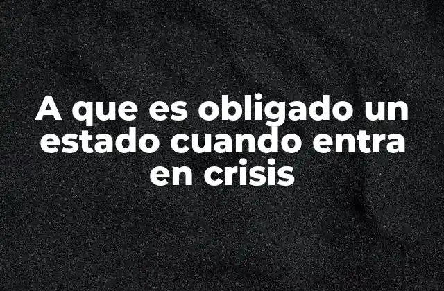A que es Obligado un Estado Cuando Entra en Crisis 2 La responsabilidad del estado frente a desastres nacionales